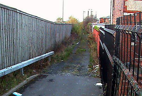 OVERGROWN: the alley in Montgomery Street, Failsworth, before the clean-up team moved in 