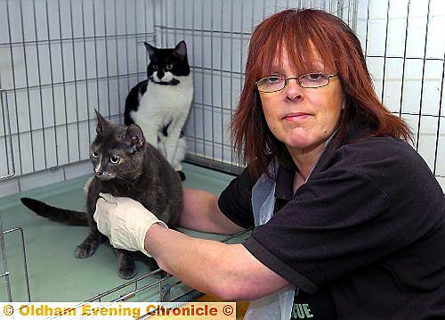 DUMPED . . . Pennine Pen secretary Julie Flanagan with Phoebe (front) and Bobo