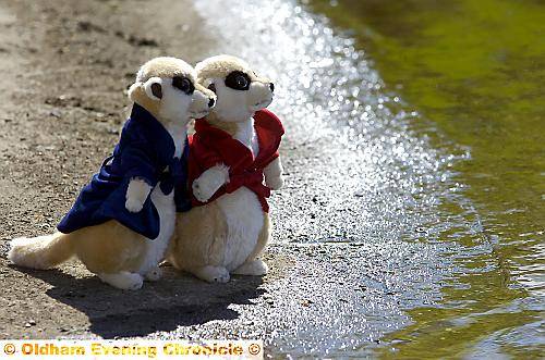 They hoped for a solution... 