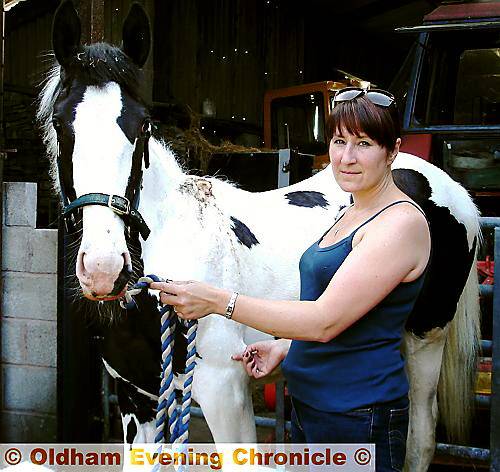 RECOVERING . . . Rachael Childs with her wounded filly, Ellie May RECOVERING . . . Rachael Childs with her wounded filly, Ellie May
