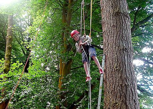 Matthew Smith drops down through the tree canopy 