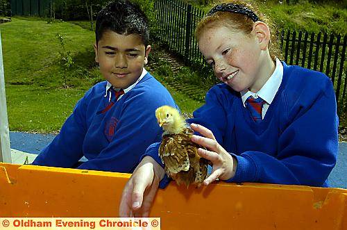 FEATHERED friend . . . Sulaiman Sajjad and Morgan White with chick Henrietta 