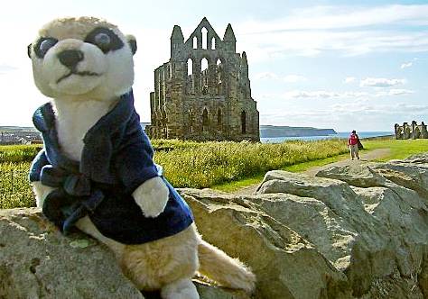 Alex goes on tour to Whitby: GLOBE-trotting Dr Kershaw’s mascot Alex has been on the move again. The well-travelled meerkat was snapped at Whitby Abbey by Chronicle reader Jane Barlow. Alex goes on tour to Whitby: GLOBE-trotting Dr Kershaw’s mascot Alex has been on the move again. The well-travelled meerkat was snapped at Whitby Abbey by Chronicle reader Jane Barlow.