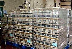 HAUL: cases of whisky uncovered in a seizure 
