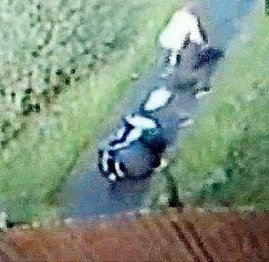 The thieves make their getaway as the pram hits the floor 
