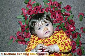 Baby Poppy