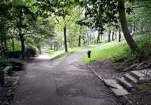 WOODLAND walk: Dunwood Park WOODLAND walk: Dunwood Park