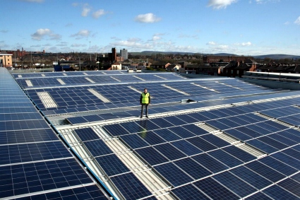 Luke Rothwell among the solar panels.  


