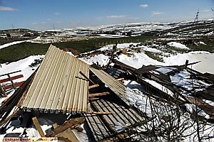 Horses unharmed as gales smash stables 
