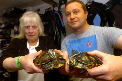 WE shell not be moved: Audrey and Scott Lomas of Probe Diving Services with terrapins George and Mildred
WE shell not be moved: Audrey and Scott Lomas of Probe Diving Services with terrapins George and Mildred