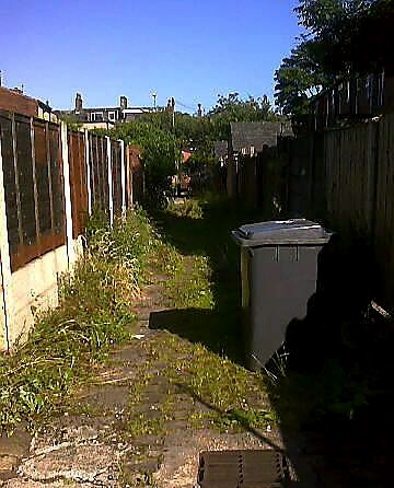 WILDERNESS... before  

