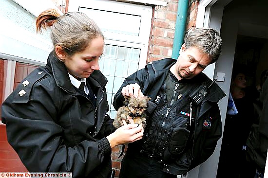 In safe hands: one of the 23 puppies seized at a property in Valentine Street yesterday in the care of RSPCA inspector Gilly Howard and Police sergeant Jon Martin
In safe hands: one of the 23 puppies seized at a property in Valentine Street yesterday in the care of RSPCA inspector Gilly Howard and Police sergeant Jon Martin