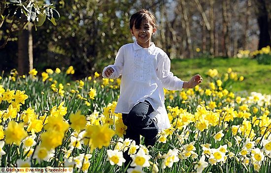 Sehar Sohail in the daffodils 12 months ago  

