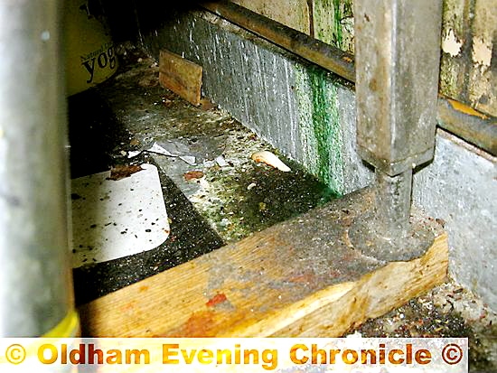DISGUSTING: the floors had mouse droppings and other debris and filth 