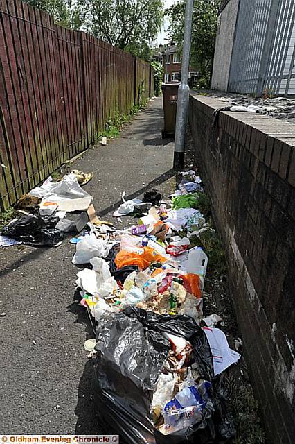 Rubbish dumped at the rear of Wimpole Street