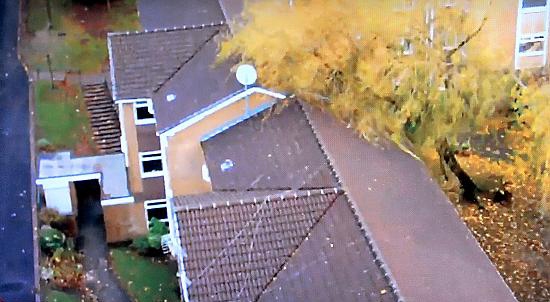 Tree blown over at Grange Court.