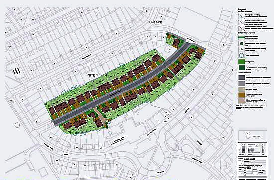 THE plan for the development THE plan for the development
