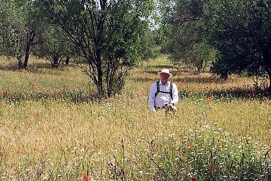 Adam Sutcliffe on the field of battle with red poppies around