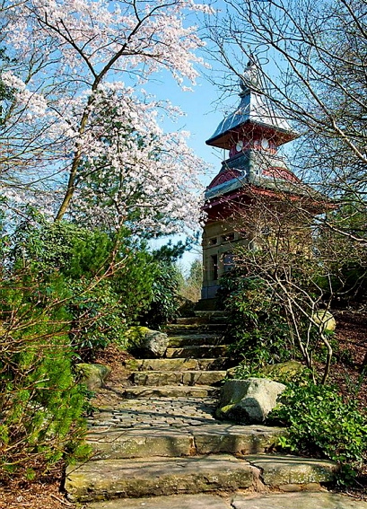 STUNNING . . . Alexandra Park