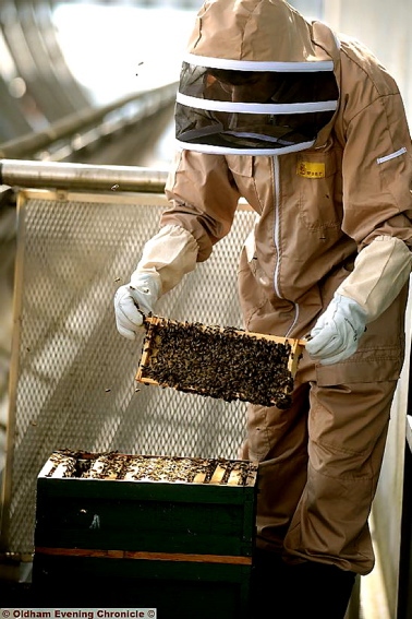 HIVE of activity . . . beekeeper Jonathan Downs attends to the bees.