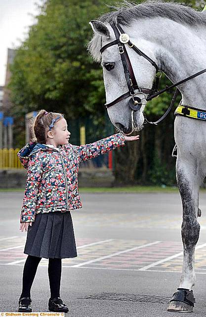 Lola Slack (5) meets Maxwell the police horse. 