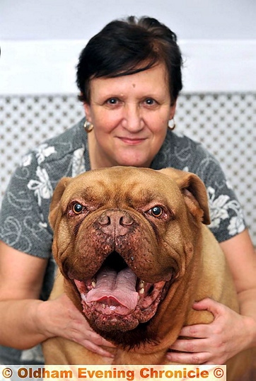 Elaine O’Neill is looking to track down the passers-by who helped rescue dog Toby from 4ft deep hole Elaine O’Neill is looking to track down the passers-by who helped rescue dog Toby from 4ft deep hole