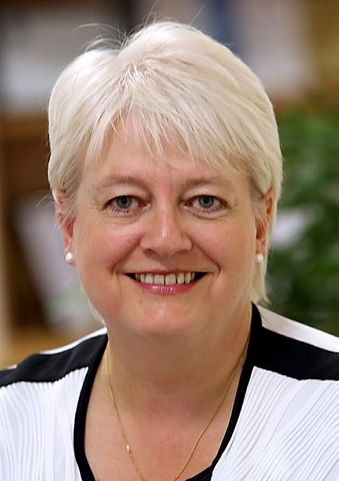 Gillian Fairfield - new job Gillian Fairfield - new job