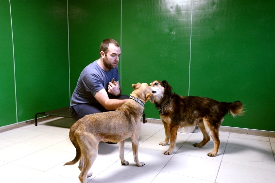 Michael Waugh with guests Robert (left) and Kujo.