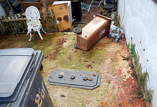 Oldham Council prosecuted an Chadderton dog owner who failed to keep the rear yard of his home clear Oldham Council prosecuted an Chadderton dog owner who failed to keep the rear yard of his home clear