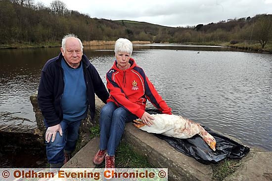 18/4/2016 - PHOTO by Darren Robinson

Charlie Webb and Val Wynn with a dead goose they pulled out of Strinesdale Reservoir.

The goose had been shot.