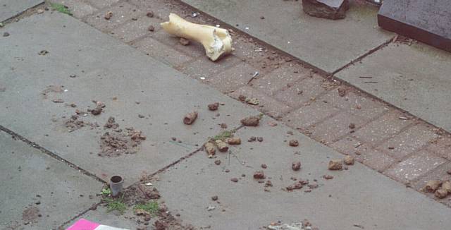 Derek Taylor complaining about the state of his neighbours' back gardens, one on the left has a discarded toilet in it while the one to the right (pictured) is full of dog excrement.