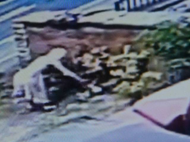CCTV of plant thief CCTV of plant thief