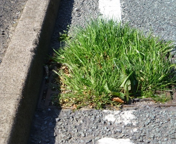 BLOCKED grids in Holmfirth Road, Greenfield