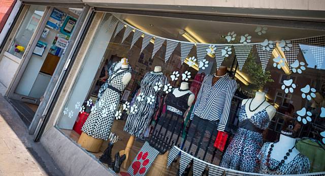 SPOT the film... a doggy themed display at the RSPCA shop in Yorkshire Street