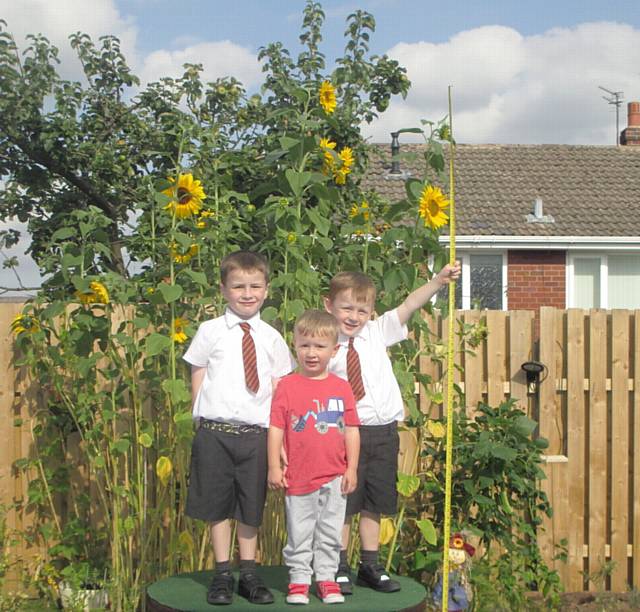 WATCH us grow . . . Joseph, William and Christopher Moore