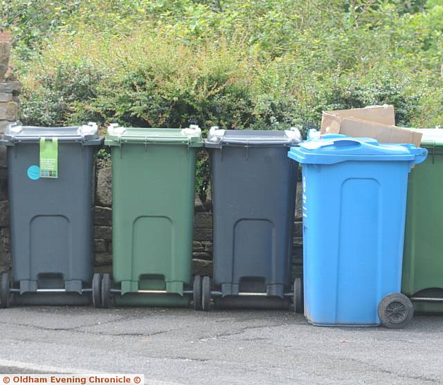 Wheelie Bins