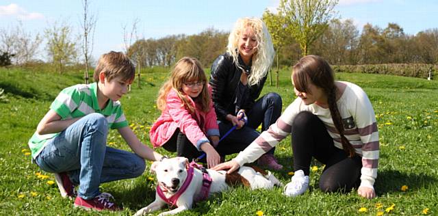 DOGS Trust Manchester is offering free workshops to Oldham primary schools