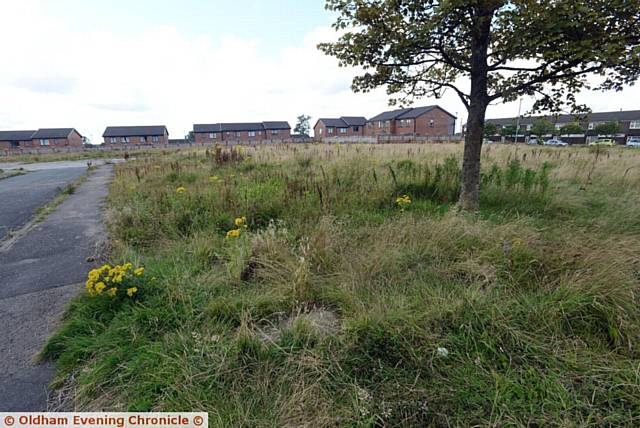 FIRST Choice Homes plan to build 49 new homes on vacant land off Coleridge Road, Sholver
