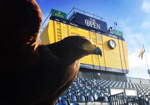 KEEPING an eagle out at Birkdale, the venue of this year's prestigious competition
