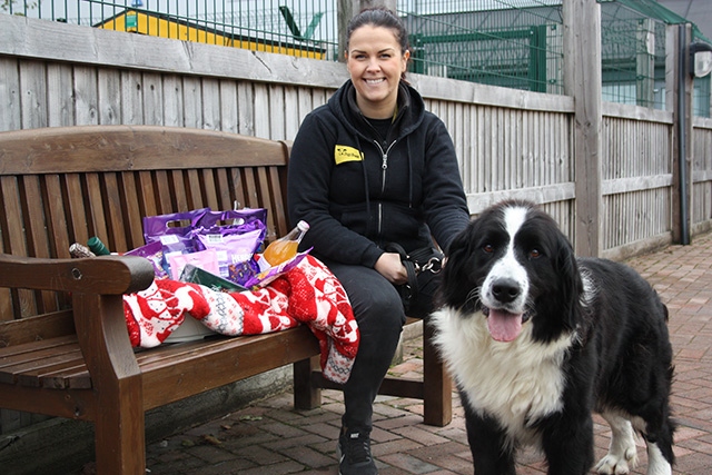 Supporter Relations Officer Louise Danson and Newfoundland Cross Blush are on the lookout for donations for the Dogs Trust Christmas Fair