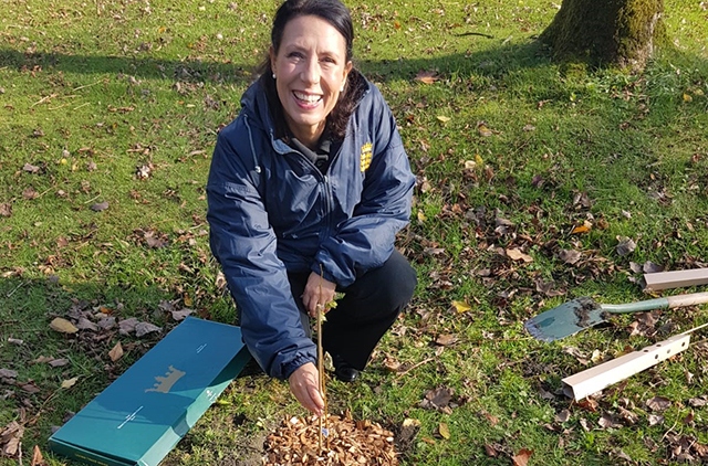 MP Debbie Abrahams inspecting one of the saplings in Alexandra Park