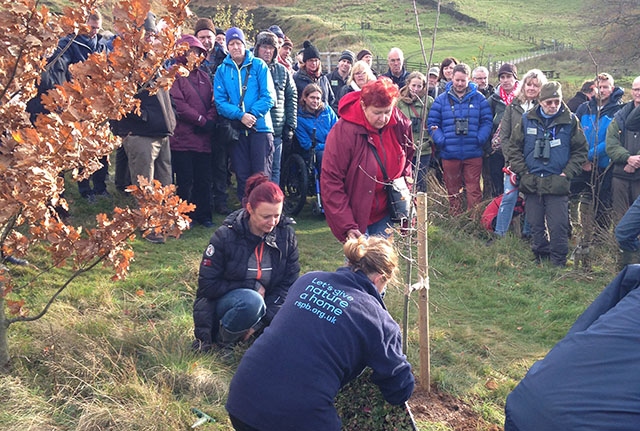 Planting Roy Taylor's memorial tree in the Dovestone Celebration Wood