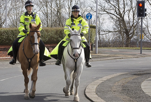 GMP's Mounted Unit is on the hunt for trusted steeds