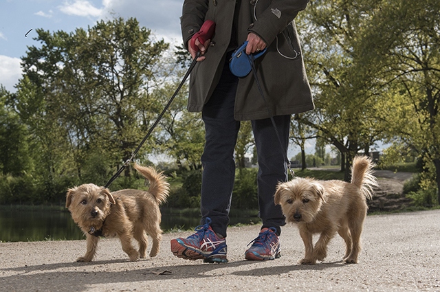 Walk All Over Cancer involves participants getting sponsored to walk 10,000 steps every day for a month