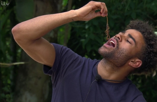 Malique Thompson-Dwyer during an 'I'm a Celeb' challenge last week Malique Thompson-Dwyer during an 'I'm a Celeb' challenge last week