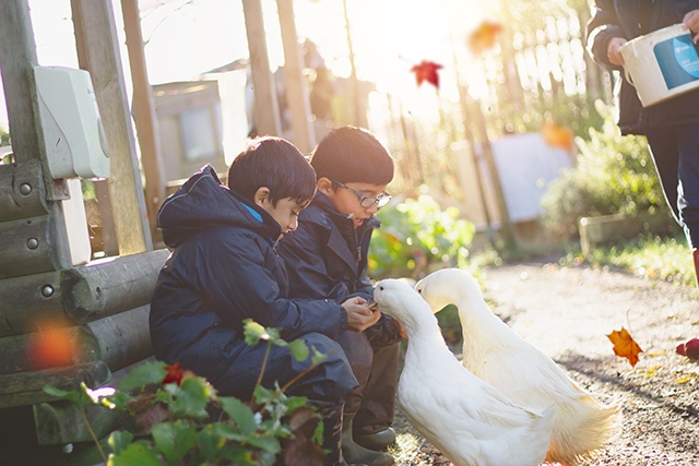 There's always lots of exciting activities for the children at Roundthorn Primary School