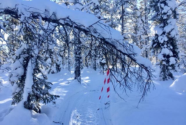 A scene from the Arctic Ice Ultra Marathon