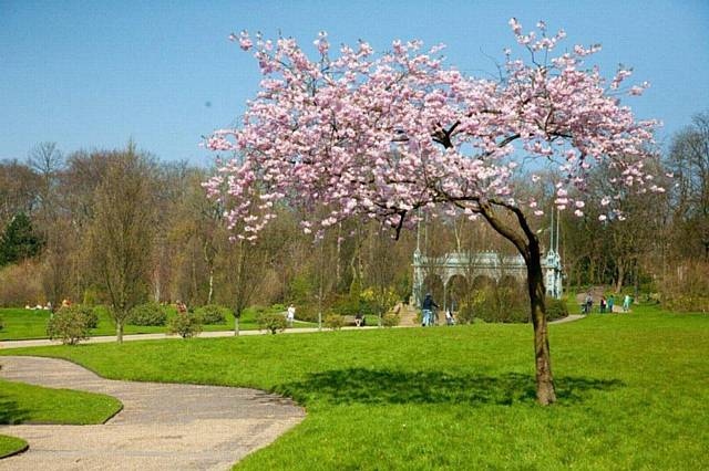Get along to the Healthwatch Oldham Active Health Outdoors Family Forum at Alexandra Park on June 30. Get along to the Healthwatch Oldham Active Health Outdoors Family Forum at Alexandra Park on June 30.