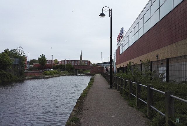 A number of dead cats have been dragged from the Rochdale Canal in Failsworth recently