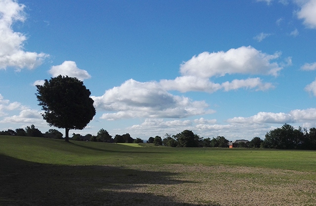 A brightening scene looking across Oldham Edge this morning